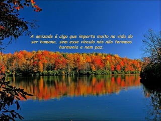 A amizade é algo que importa muito na vida do ser humano, sem esse vínculo nós não teremos harmonia e nem paz. 