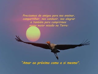 Precisamos de amigos para nos ensinar, compartilhar, nos conduzir, nos alegrar  e também para cumprirmos  nossa maior missão na Terra:  “ Amar ao próximo como a si mesmo".   