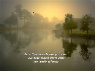 Se estiver amando,ame pra valer,  viva cada minuto deste amor,  sem medir esforços. 