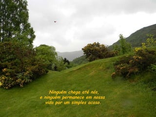   Ninguém chega até nós, e ninguém permanece em nossa  vida por um simples acaso. 