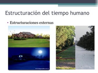 Estructuración del tiempo humano
• Estructuraciones externas
 