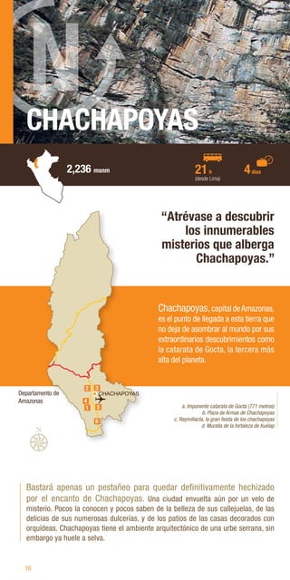16
CHACHAPOYAS
2,236 msnm 21h
(desde Lima)
Bastará apenas un pestañeo para quedar definitivamente hechizado
por el encanto de Chachapoyas. Una ciudad envuelta aún por un velo de
misterio. Pocos la conocen y pocos saben de la belleza de sus callejuelas, de las
delicias de sus numerosas dulcerías, y de los patios de las casas decorados con
orquídeas. Chachapoyas tiene el ambiente arquitectónico de una urbe serrana, sin
embargo ya huele a selva.
“Atrévase a descubrir
los innumerables
misterios que alberga
Chachapoyas.”
a. Imponente catarata de Gocta (771 metros)
b. Plaza de Armas de Chachapoyas
c. Raymillacta, la gran fiesta de los chachapoyas
d. Muralla de la fortaleza de Kuélap
Chachapoyas,capital deAmazonas,
es el punto de llegada a esta tierra que
no deja de asombrar al mundo por sus
extraordinarios descubrimientos como
la catarata de Gocta, la tercera más
alta del planeta.
4días
CHACHAPOYAS
4
5
1
2 3
6
Departamento de
Amazonas
 
