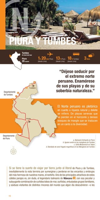 18
PIURA Y TUMBES
Si se tiene la suerte de viajar por tierra junto al litoral de Piura y de Tumbes,
inevitablemente la vista termina por sumergirse y perderse en los encantos y embrujos
del más hermoso de nuestros mares,el norteño.Uno de los principales atractivos de estos
cálidos parajes es, sin duda, el legendario balneario de Máncora 1 , con esa peculiar y
subyugante combinación de curtidos lobos de mar,surfistas,entusiastasgruposfamiliares,
y asiduos visitantes de distintos rincones del mundo que algún día descubrieron –o les
“Déjese seducir por
el extremo norte
peruano. Enamórese
de sus playas y de su
soberbia naturaleza.”
a. Balneario Vichayito en Piura
b. Iguana verde en los manglares de Tumbes
c. Sofía Mulanovich en Talara
d. Bandada de aves fragata magníficas en los Manglares de Tumbes
1h 20min Piura
(desde Lima)
18h Tumbes
(desde Lima)
3días
13h Piura
(desde Lima)
PIURA
TUMBES
6
4
5
1
3
2
Departamento
de Tumbes
Departamento
de Piura
El Norte peruano es pletórico
en cuanto a riqueza natural y deleite
se refiere. De playas serenas que
se pierden en el horizonte y densos
bosques de mangle que se traducen
en un canto a la diversidad.
Tumbes
Al nivel del mar
Piura
29 msnm
 