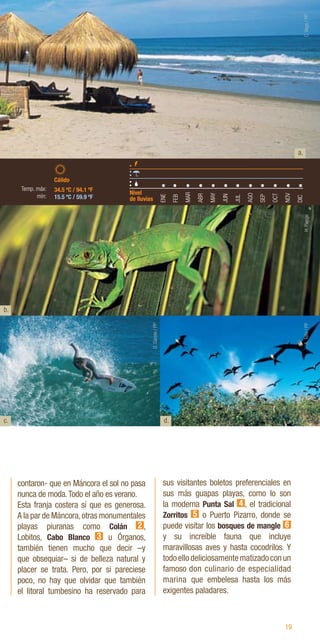 19
contaron- que en Máncora el sol no pasa
nunca de moda.Todo el año es verano.
Esta franja costera sí que es generosa.
A la par de Máncora,otras monumentales
playas piuranas como Colán 2 ,
Lobitos, Cabo Blanco 3 u Órganos,
también tienen mucho que decir –y
que obsequiar– si de belleza natural y
placer se trata. Pero, por si pareciese
poco, no hay que olvidar que también
el litoral tumbesino ha reservado para
sus visitantes boletos preferenciales en
sus más guapas playas, como lo son
la moderna Punta Sal 4 , el tradicional
Zorritos 5 o Puerto Pizarro, donde se
puede visitar los bosques de mangle 6
y su increíble fauna que incluye
maravillosas aves y hasta cocodrilos. Y
todoellodeliciosamentematizadoconun
famoso don culinario de especialidad
marina que embelesa hasta los más
exigentes paladares.
b.
c. d.
ENE
FEB
MAR
ABR
MAY
JUN
JUL
AGO
SEP
OCT
NOV
DIC
34.5 ºC / 94.1 ºF
15.5 ºC / 59.9 ºF
Nivel
de lluvias
Cálido
Temp. máx:
mín:
C.
Vega
/
PP
D.
Gárate
/
PP
A.
Tello
/
PP
H.
Plenge
a.
 