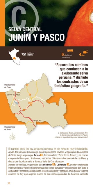 26
SELVA CENTRAL
JUNÍN Y PASCO
El camino en sí (no hay aeropuerto comercial en esa zona) es muy interesante.
A solo dos horas de Lima uno ya puede apreciar los nevados y lagunas de la cordillera
de Ticlio, luego se pasa por Tarma 1 , denominada la “Perla de los Andes”, y se cruzan
campos de flores para, finalmente, vencer las últimas estribaciones de la cordillera y
descender decididamente al llamado Valle de Chanchamayo.
Alegres y tropicales,los poblados de San Ramón 2 y La Merced 3 ,brindan una llegada
inconfundible al Valle de Chanchamayo: los cerros abruptos y encañonados dan paso a
onduladas y amables colinas donde crecen naranjales y cafetales. Para buscar lugares
exóticos no hay que alejarse mucho de los centros poblados. La hermosa catarata
“Recorra los caminos
que conducen a la
exuberante selva
peruana. Y disfrute
los contrastes de su
fantástica geografía.”
a. Gallito de las Rocas, ave nacional del Perú
b. Puente Emperador Guillermo en Pozuzo
c. Tarma es la puerta de ingreso a la selva central
6h La Merced
(desde Lima)
4días
751 msnm
La Merced
CERRO DE PASCO
HUANCAYO
1
2
3
4
5
6
Departamento
de Junín
Departamento
de Pasco
 
