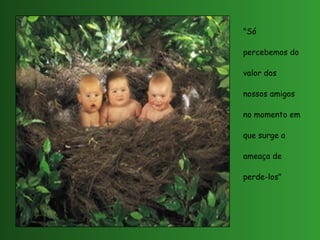 "Só percebemos do valor dos nossos amigos no momento em que surge a ameaça de perde-los" 