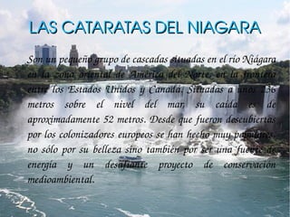 LAS CATARATAS DEL NIAGARA
Son un pequeño grupo de cascadas situadas en el río Niágara 
en  la  zona  oriental  de  América  del  Norte,  en  la  frontera 
entre  los  Estados  Unidos  y  Canadá.  Situadas  a  unos  236 
metros  sobre  el  nivel  del  mar,  su  caída  es  de 
aproximadamente 52 metros. Desde que fueron descubiertas 
por los colonizadores europeos se han hecho muy populares, 
no  sólo  por  su  belleza  sino  también  por  ser  una  fuente  de 
energía  y  un  desafiante  proyecto  de  conservación 
medioambiental. 
 