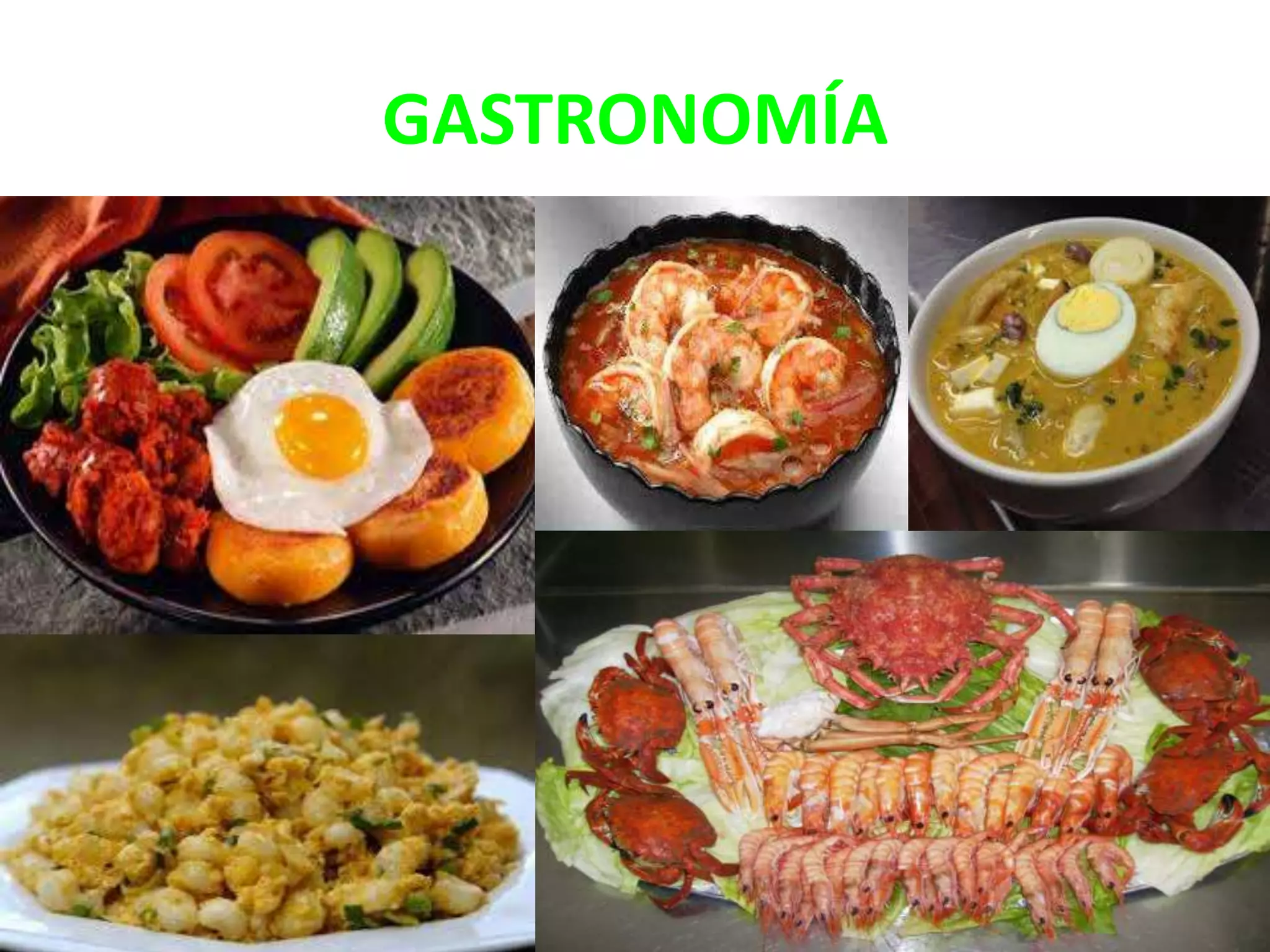 GASTRONOMÍA