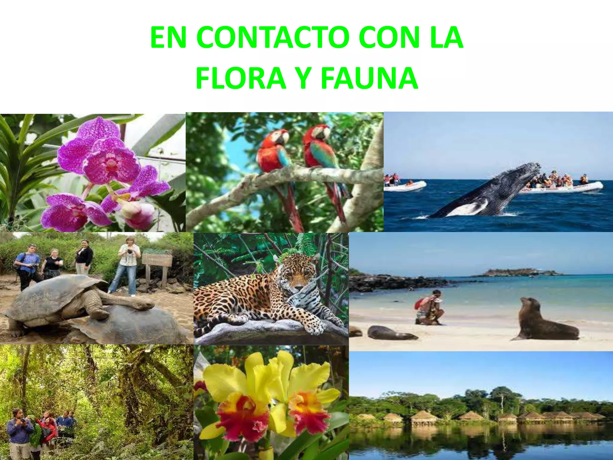 EN CONTACTO CON LA
FLORA Y FAUNA