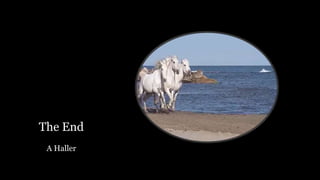 The End
A Haller
 