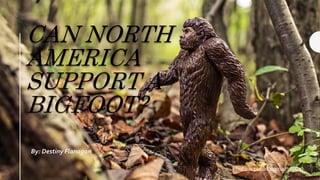 CAN NORTH
AMERICA
SUPPORT A
BIGFOOT?
By: Destiny Flanagan
Photo is public domain (CC0)
 