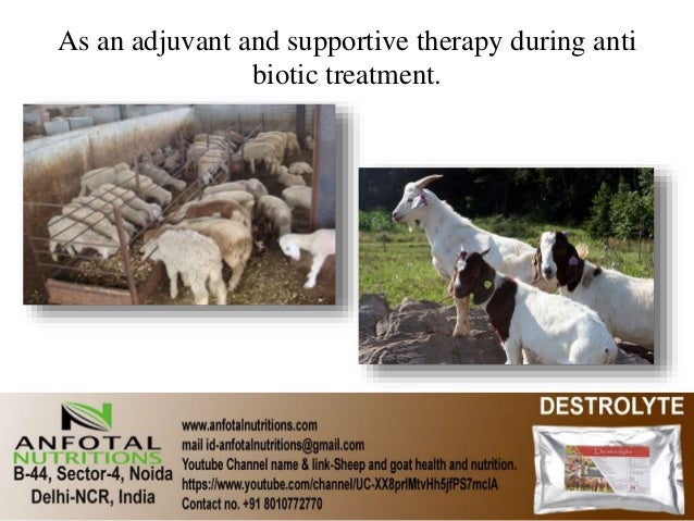 Animal Health and Nutrition