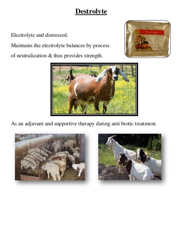 Animal health and nutritions