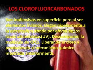 LOS CLOROFLUORCARBONADOS
Son inofensivos en superficie pero al ser
elementos livianos. Llegan rápidamente a
la estratosfera donde por efecto de los
rayos ultravioletas(UV). Descomponen la
molécula de CFCs. Liberando el cloro y
produciendo el mecanismo químico
mostrado anteriormente.
 
