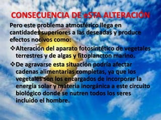 CONSECUENCIA DE eSTA ALTERACIÓN
Pero este problema atmosférico llega en
cantidades superiores a las deseadas y produce
efectos nocivos como:
Alteración del aparato fotosintético de vegetales
terrestres y de algas y fitoplancton marino.
De agravarse esta situación podría afectar
cadenas alimentarias completas, ya que los
vegetales son los encargados de incorporar la
energía solar y materia inorgánica a este circuito
biológico donde se nutren todos los seres
incluido el hombre.
 