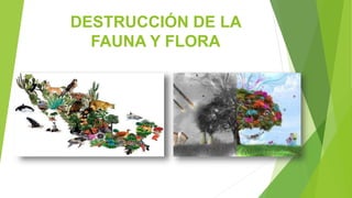 DESTRUCCIÓN DE LA
FAUNA Y FLORA
 