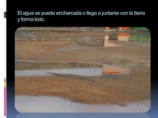 El agua se puede encharcada o llega a juntarse con la tierra y forma lodo.