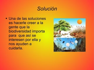 Solución Una de las soluciones es hacerle creer a la gente que la biodiversidad importa para  que así se interesen por ella y nos ayuden a cuidarla. 