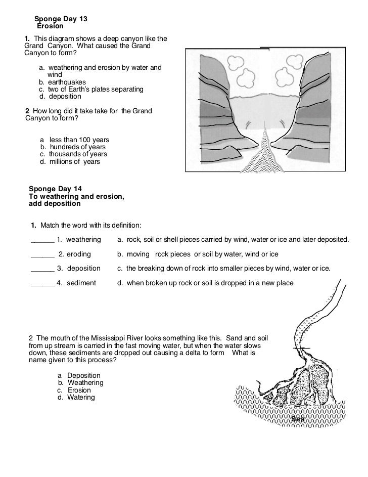 Worksheets Weathering Worksheet destruct forces worksheet canyon 10