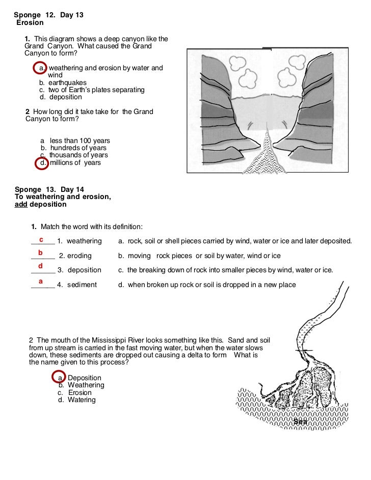 Water erosion and deposition worksheet
