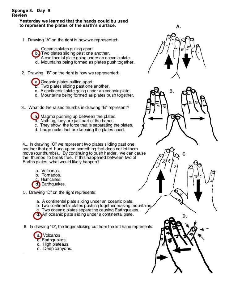 Destruct forces (worksheet answers)