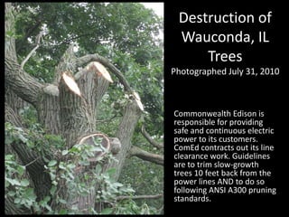 Destruction of Wauconda, IL TreesPhotographed July 31, 2010 Commonwealth Edison is responsible for providing safe and reliable electric power to its customers. ComEd contracts out its line clearance work. Guidelines are to trim slow-growth trees 10-12 feet back from the power lines AND to do so following ANSI A300 pruning standards. 