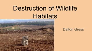Destruction of Wildlife
Habitats
Dalton Gress
 