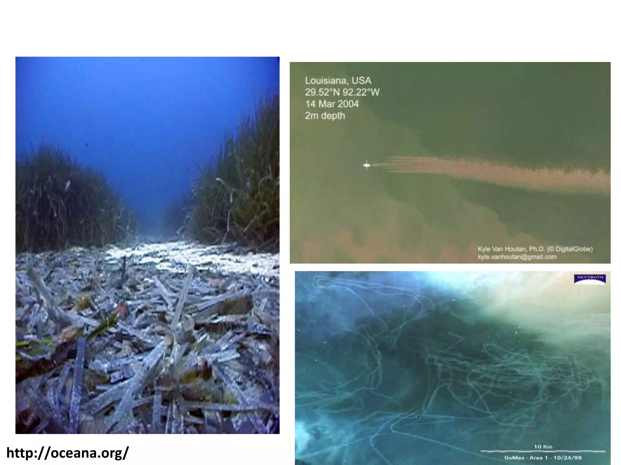 Fish Destructive Destructive and prohibited fishing practices | PPTX
