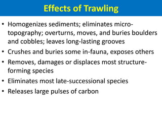 Effects of Trawling
• Homogenizes sediments; eliminates micro-
topography; overturns, moves, and buries boulders
and cobbles; leaves long-lasting grooves
• Crushes and buries some in-fauna, exposes others
• Removes, damages or displaces most structure-
forming species
• Eliminates most late-successional species
• Releases large pulses of carbon
 