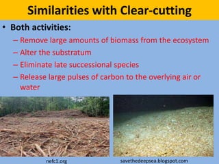 Similarities with Clear-cutting
• Both activities:
– Remove large amounts of biomass from the ecosystem
– Alter the substratum
– Eliminate late successional species
– Release large pulses of carbon to the overlying air or
water
nefc1.org savethedeepsea.blogspot.com
 