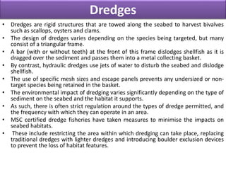 Dredges
• Dredges are rigid structures that are towed along the seabed to harvest bivalves
such as scallops, oysters and clams.
• The design of dredges varies depending on the species being targeted, but many
consist of a triangular frame.
• A bar (with or without teeth) at the front of this frame dislodges shellfish as it is
dragged over the sediment and passes them into a metal collecting basket.
• By contrast, hydraulic dredges use jets of water to disturb the seabed and dislodge
shellfish.
• The use of specific mesh sizes and escape panels prevents any undersized or non-
target species being retained in the basket.
• The environmental impact of dredging varies significantly depending on the type of
sediment on the seabed and the habitat it supports.
• As such, there is often strict regulation around the types of dredge permitted, and
the frequency with which they can operate in an area.
• MSC certified dredge fisheries have taken measures to minimise the impacts on
seabed habitats.
• These include restricting the area within which dredging can take place, replacing
traditional dredges with lighter dredges and introducing boulder exclusion devices
to prevent the loss of habitat features.
 