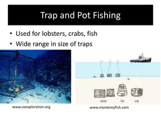 Trap and Pot Fishing
• Used for lobsters, crabs, fish
• Wide range in size of traps
www.montereyfish.com
www.coexploration.org
 