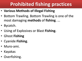 Prohibited fishing practices
• Various Methods of Illegal Fishing
• Bottom Trawling. Bottom Trawling is one of the
most damaging methods of fishing. ...
• Bycatch.
• Using of Explosives or Blast Fishing.
• Ghost Fishing
• Cyanide Fishing.
• Muro-ami.
• Kayakas
• Overfishing.
 