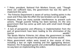 • T Peter, president, National Fish Workers Forum, said, “Though
there are sufficient laws, the government has lost the spirit to
implement the same.
• The Fisheries Department is aware of various landing points in the
coast and if they take the effort the law-breakers can be caught.
• However, there are many outside interferences to prevent such
actions. Though juvenile fishing has been banned, it’s the very
government that has come up with nets with small mesh through
Matsyafed.
• A lack of perspective and efficiency in implementation from the
part of government have been leading to the elimination of the
marine wealth.”
The Kerala Marine Fisheries Act allows the government to make
rules/ issue orders to ensure the protection of marine wealth.
• Many government orders were issued in due course of time,
including a ban on night trawling and fish aggregating devices.
However, the ill-equipped guards and understaffed department are
no way keen on implementing the orders.
 