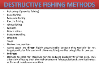 • Poisoning (Dynamite fishing)
• Blast fishing
• Mourami fishing
• Electric fishing
• Ghost fishing
• Gill nets
• Beach seines
• Bottom trawling
• Dredging
• Traps
• Destructive practices
• Above gears are direct- highly unsustainable because they typically do not
target particular fish species & often result in juveniles being killed in process.
• Indirect:
• Damage to coral reef structure further reduces productivity of the area, thus
adversely affecting both the reef-dependent fish populations& also livelihoods
of fishers& nearby communities.
 