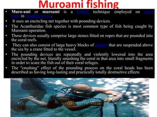 Muroami fishing
• Muro-ami or muroami is a fishing technique employed on coral
reefs in Southeast Asia.
• It uses an encircling net together with pounding devices.
• The Acanthuridae fish species is most common type of fish being caught by
Muroami operation.
• These devices usually comprise large stones fitted on ropes that are pounded into
the coral reefs.
• They can also consist of large heavy blocks of cement that are suspended above
the sea by a crane fitted to the vessel.
• The pounding devices are repeatedly and violently lowered into the area
encircled by the net, literally smashing the coral in that area into small fragments
in order to scare the fish out of their coral refuges.
• The "crushing" effect of the pounding process on the coral heads has been
described as having long-lasting and practically totally destructive effects
 