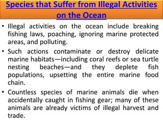 Species that Suffer from Illegal Activities
on the Ocean
• Illegal activities on the ocean include breaking
fishing laws, poaching, ignoring marine protected
areas, and polluting.
• Such actions contaminate or destroy delicate
marine habitats—including coral reefs or sea turtle
nesting beaches—and they deplete fish
populations, upsetting the entire marine food
chain.
• Countless species of marine animals die when
accidentally caught in fishing gear; many of these
animals are already victims of illegal harvest and
trade.
 