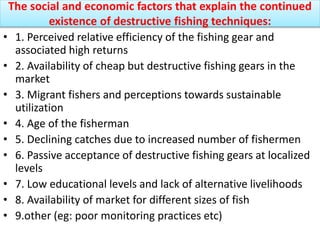 The social and economic factors that explain the continued
existence of destructive fishing techniques:
• 1. Perceived relative efficiency of the fishing gear and
associated high returns
• 2. Availability of cheap but destructive fishing gears in the
market
• 3. Migrant fishers and perceptions towards sustainable
utilization
• 4. Age of the fisherman
• 5. Declining catches due to increased number of fishermen
• 6. Passive acceptance of destructive fishing gears at localized
levels
• 7. Low educational levels and lack of alternative livelihoods
• 8. Availability of market for different sizes of fish
• 9.other (eg: poor monitoring practices etc)
 
