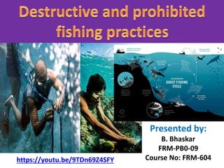 Destructive and prohibited fishing practices