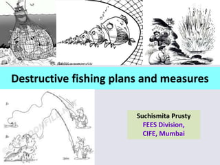 Destructive fishing plans and measures
Suchismita Prusty
FEES Division,
CIFE, Mumbai
 