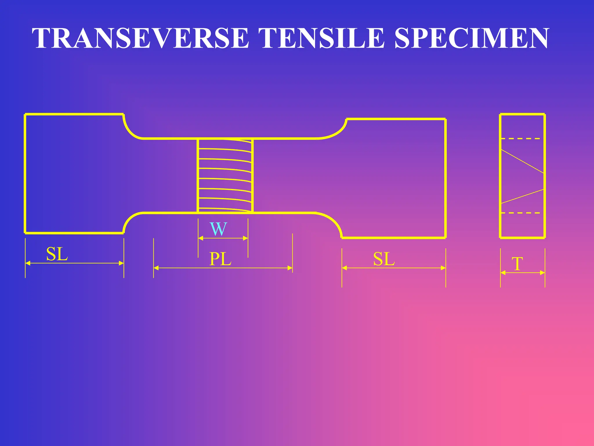 TRANSEVERSE TENSILE SPECIMEN
W
PL
SL SL T
 