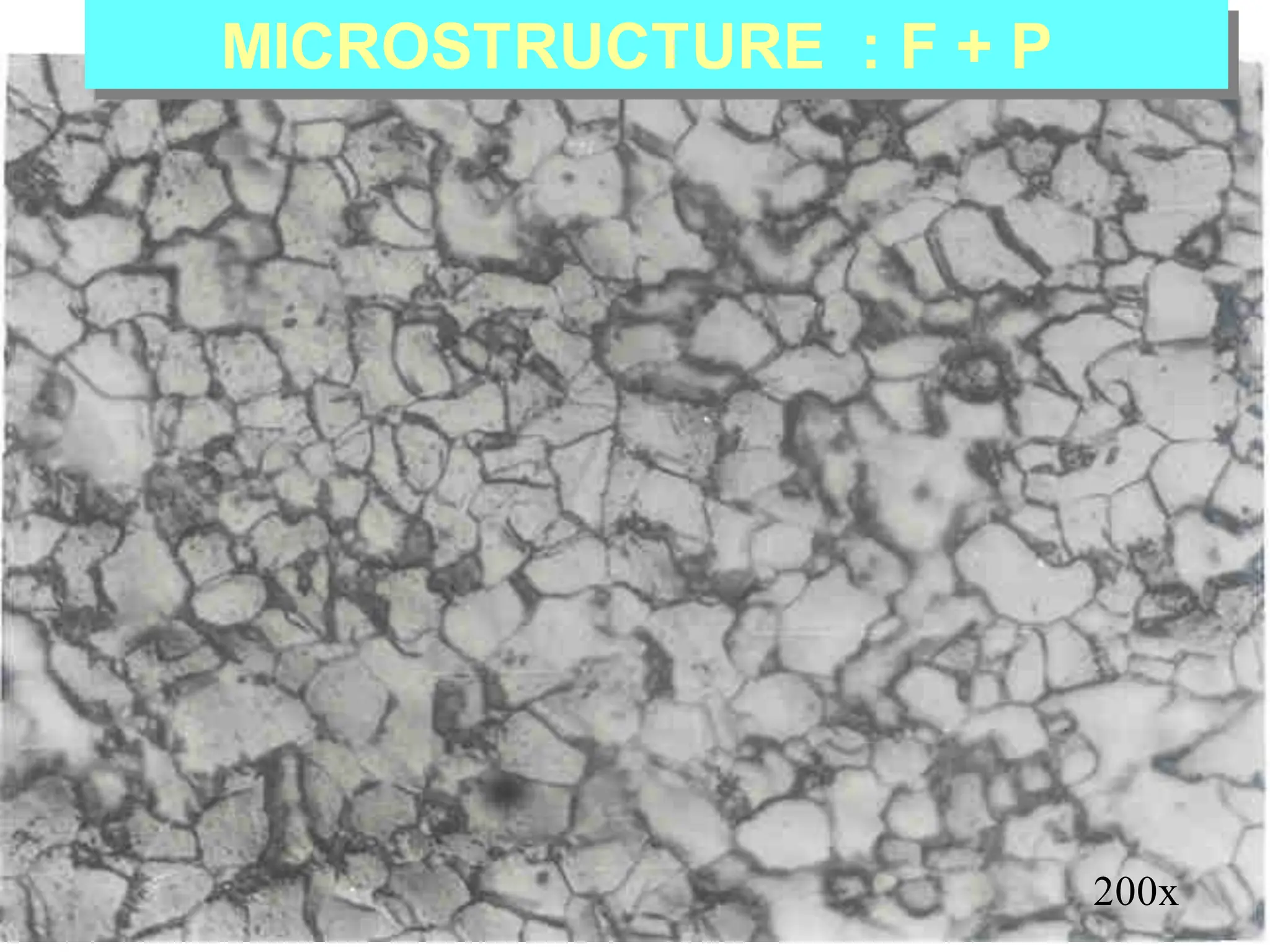 MICROSTRUCTURE : F + P
200x
 