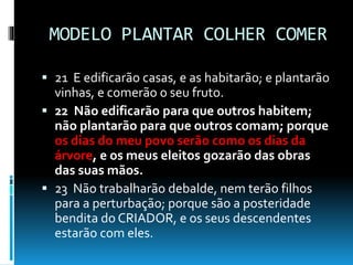 MODELO PLANTAR COLHER COMER
 21 E edificarão casas, e as habitarão; e plantarão
vinhas, e comerão o seu fruto.
 22 Não edificarão para que outros habitem;
não plantarão para que outros comam; porque
os dias do meu povo serão como os dias da
árvore, e os meus eleitos gozarão das obras
das suas mãos.
 23 Não trabalharão debalde, nem terão filhos
para a perturbação; porque são a posteridade
bendita do CRIADOR, e os seus descendentes
estarão com eles.
 