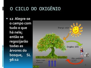 O CICLO DO OXIGÊNIO
 12 Alegre-se
o campo com
tudo o que
há nele;
então se
regozijarão
todas as
árvores do
bosque, SL
96:12
 