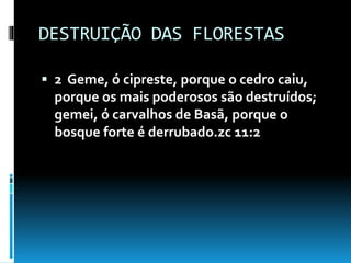 DESTRUIÇÃO DAS FLORESTAS
 2 Geme, ó cipreste, porque o cedro caiu,
porque os mais poderosos são destruídos;
gemei, ó carvalhos de Basã, porque o
bosque forte é derrubado.zc 11:2
 