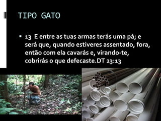 TIPO GATO
 13 E entre as tuas armas terás uma pá; e
será que, quando estiveres assentado, fora,
então com ela cavarás e, virando-te,
cobrirás o que defecaste.DT 23:13
 