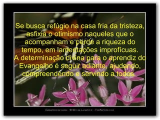 Se busca refúgio na casa fria da tristeza, asfixia o otimismo naqueles que o acompanham e perde a riqueza do tempo, em lamentações improfícuas. A determinação divina para o aprendiz do Evangelho é seguir adiante, ajudando, compreendendo e servindo a todos.  