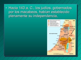 • Hacia 114433 aa.. CC..,, llooss jjuuddííooss,, ggoobbeerrnnaaddooss 
ppoorr llooss mmaaccaabbeeooss,, hhaabbííaann eessttaabblleecciiddoo 
pplleennaammeennttee ssuu iinnddeeppeennddeenncciiaa,, 
