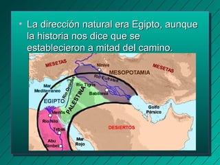 • La dirección nnaattuurraall eerraa EEggiippttoo,, aauunnqquuee 
llaa hhiissttoorriiaa nnooss ddiiccee qquuee ssee 
eessttaabblleecciieerroonn aa mmiittaadd ddeell ccaammiinnoo.. 
 