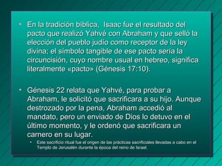 • En la tradición bíblica, Isaac fue eell rreessuullttaaddoo ddeell 
ppaaccttoo qquuee rreeaalliizzóó YYaahhvvéé ccoonn AAbbrraahhaamm yy qquuee sseellllóó llaa 
eelleecccciióónn ddeell ppuueebblloo jjuuddííoo ccoommoo rreecceeppttoorr ddee llaa lleeyy 
ddiivviinnaa;; eell ssíímmbboolloo ttaannggiibbllee ddee eessee ppaaccttoo sseerrííaa llaa 
cciirrccuunncciissiióónn,, ccuuyyoo nnoommbbrree uussuuaall eenn hheebbrreeoo,, ssiiggnniiffiiccaa 
lliitteerraallmmeennttee «ppaaccttoo» ((GGéénneessiiss 1177::1100)).. 
• GGéénneessiiss 2222 rreellaattaa qquuee YYaahhvvéé,, ppaarraa pprroobbaarr aa 
AAbbrraahhaamm,, llee ssoolliicciittóó qquuee ssaaccrriiffiiccaarraa aa ssuu hhiijjoo.. AAuunnqquuee 
ddeessttrroozzaaddoo ppoorr llaa ppeennaa,, AAbbrraahhaamm aacccceeddiióó aall 
mmaannddaattoo,, ppeerroo uunn eennvviiaaddoo ddee DDiiooss lloo ddeettuuvvoo eenn eell 
úúllttiimmoo mmoommeennttoo,, yy llee oorrddeennóó qquuee ssaaccrriiffiiccaarraa uunn 
ccaarrnneerroo eenn ssuu lluuggaarr.. 
• EEssttee ssaaccrriiffiicciioo rriittuuaall ffuuee eell oorriiggeenn ddee llaass pprrááccttiiccaass ssaaccrriiffiicciiaalleess lllleevvaaddaass aa ccaabboo eenn eell 
TTeemmpplloo ddee JJeerruussaalléénn dduurraannttee llaa ééppooccaa ddeell rreeiinnoo ddee IIssrraaeell.. 
 